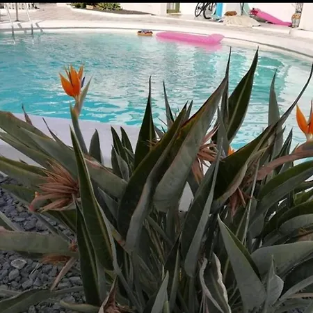 Casa Ohana Volcan Apartment